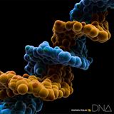 DNA（CD＋DVD）